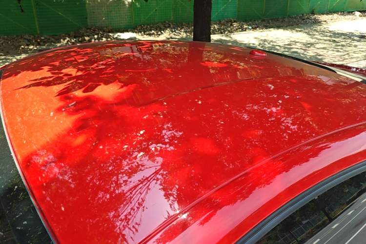 Used Ford Mustang 2018 2.3L EcoBoost Roof