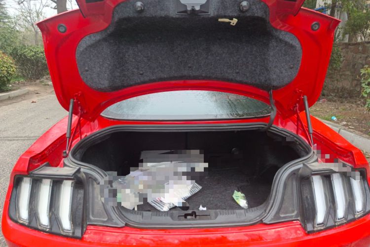 Used Ford Mustang 2018 2.3L EcoBoost Trunk