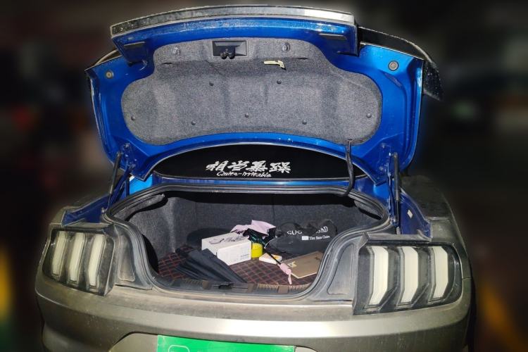 Used Ford Mustang  Trunk