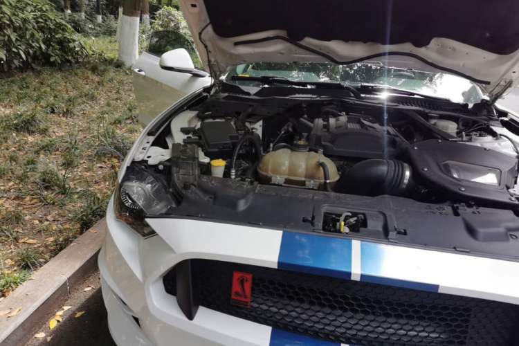 Used Ford Mustang 2018 2.3L EcoBoost Engine Bay Right