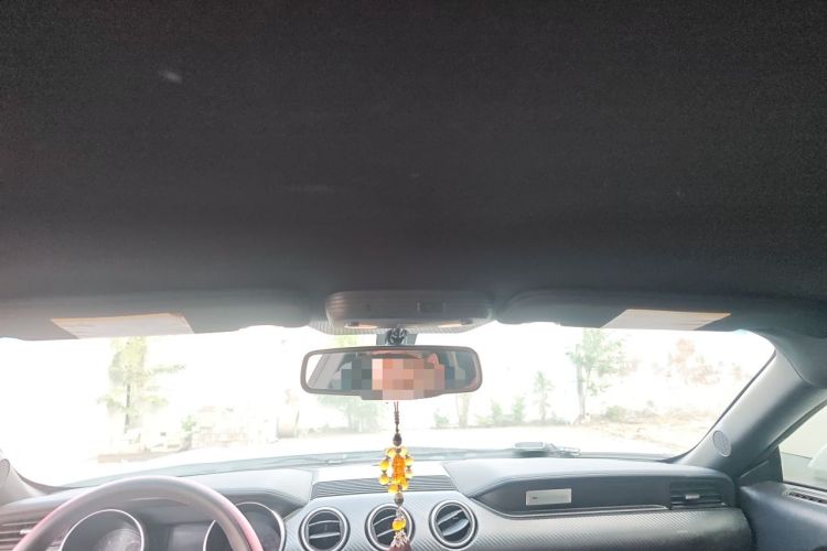 Used Ford Mustang  Headliner