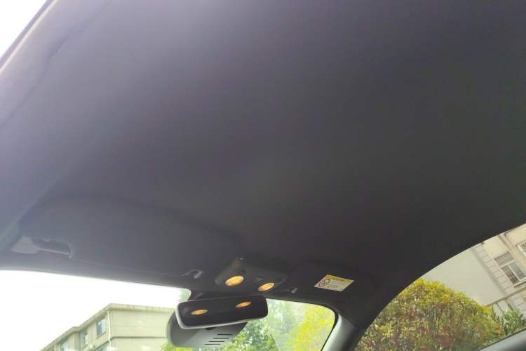 Used Ford Mustang 2018 2.3L EcoBoost Headliner
