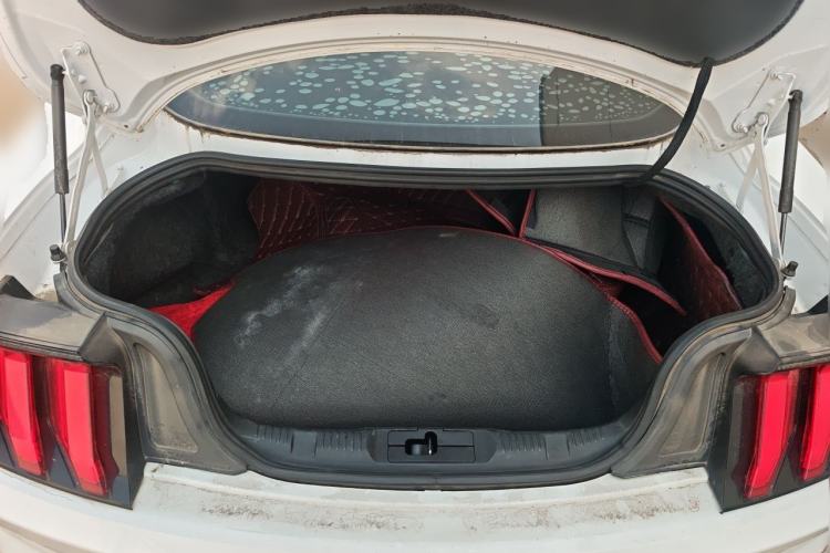 Used Ford Mustang  Trunk