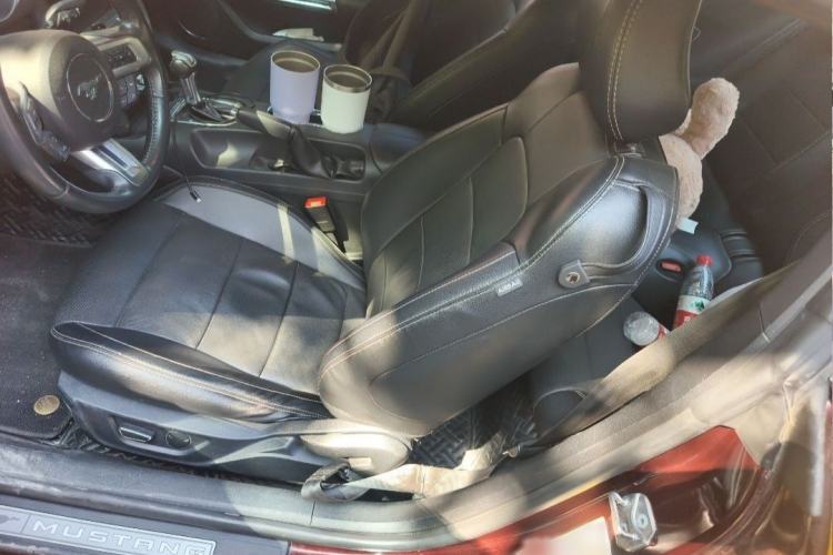 Used Ford Mustang 2018 2.3L EcoBoost Interior 4