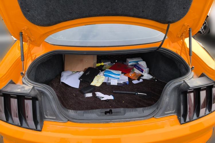 Used Ford Mustang  Trunk