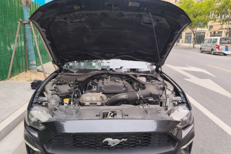 Used Ford Mustang 2019 2.3L EcoBoost Engine Bay