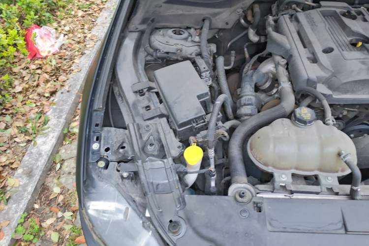 Used Ford Mustang 2019 2.3L EcoBoost Performance Enhanced Edition Engine Bay Right