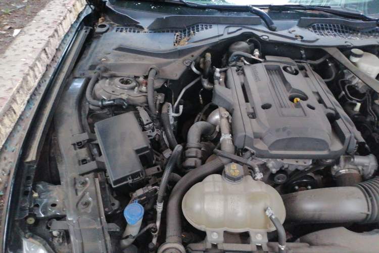 Used Ford Mustang 2019 2.3L EcoBoost Dark Knight Sport Edition Engine Bay Right