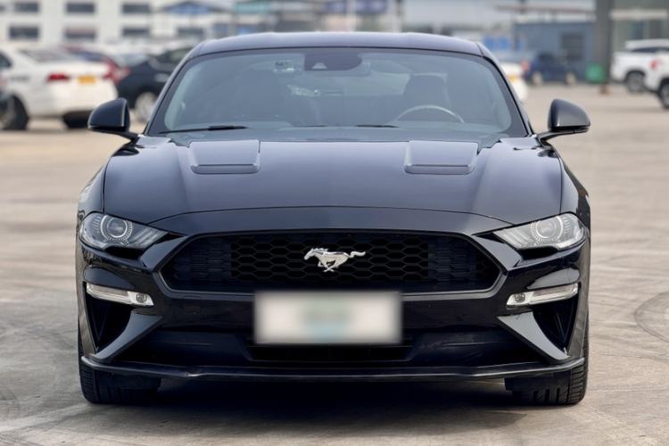 Used Ford Mustang 2019 2.3L EcoBoost Exterior 4