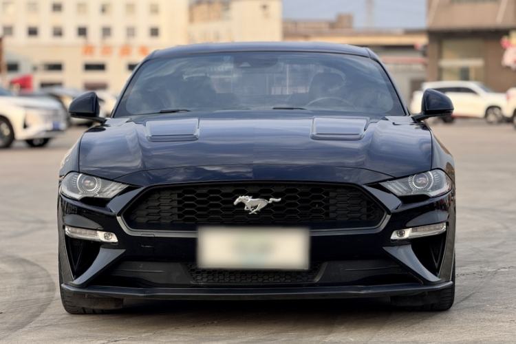 Used Ford Mustang 2019 2.3L EcoBoost Exterior 4