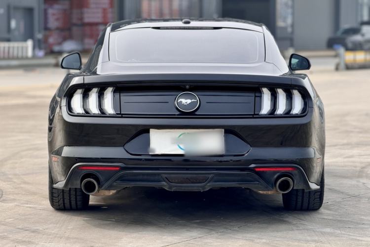 Used Ford Mustang 2019 2.3L EcoBoost Exterior 5