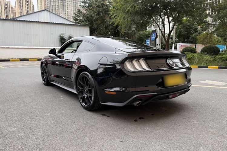 Used Ford Mustang 2019 2.3L EcoBoost Exterior 5
