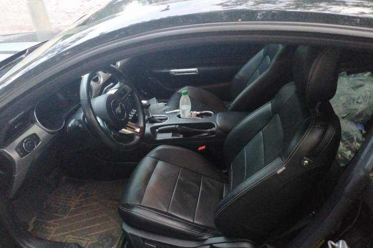 Used Ford Mustang 2019 2.3L EcoBoost Dark Knight Sport Edition Left Front Seat
