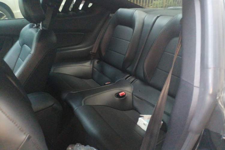 Used Ford Mustang 2019 2.3L EcoBoost Dark Knight Sport Edition Left Rear Seat