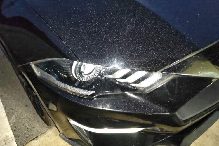 Used Ford Mustang 2019 2.3L EcoBoost Right Front Headlight