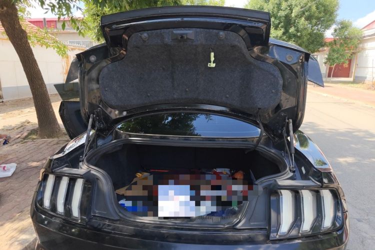 Used Ford Mustang 2019 2.3L EcoBoost Trunk