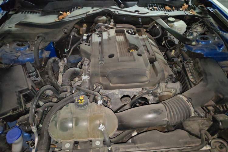 Used Ford Mustang 2019 2.3L EcoBoost Engine Bay