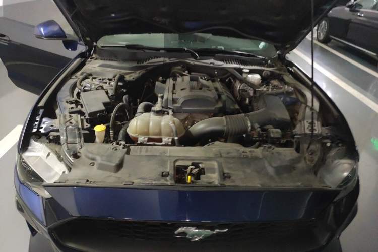 Used Ford Mustang 2019 2.3L EcoBoost Engine Bay