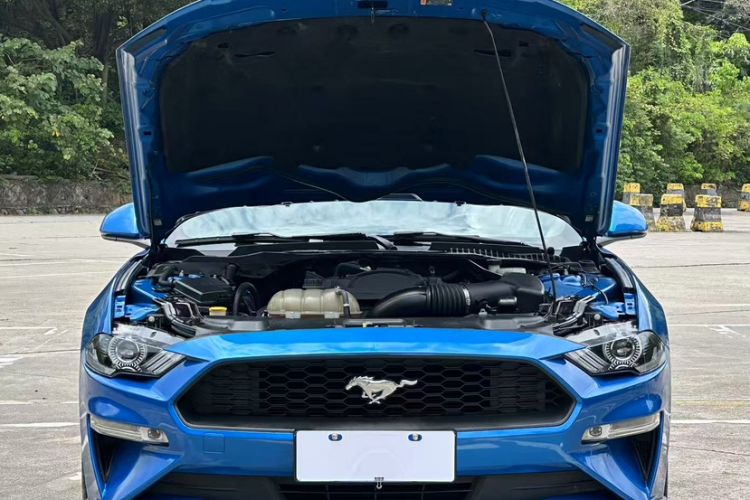 Used Ford Mustang 2019 2.3L EcoBoost Exterior 1