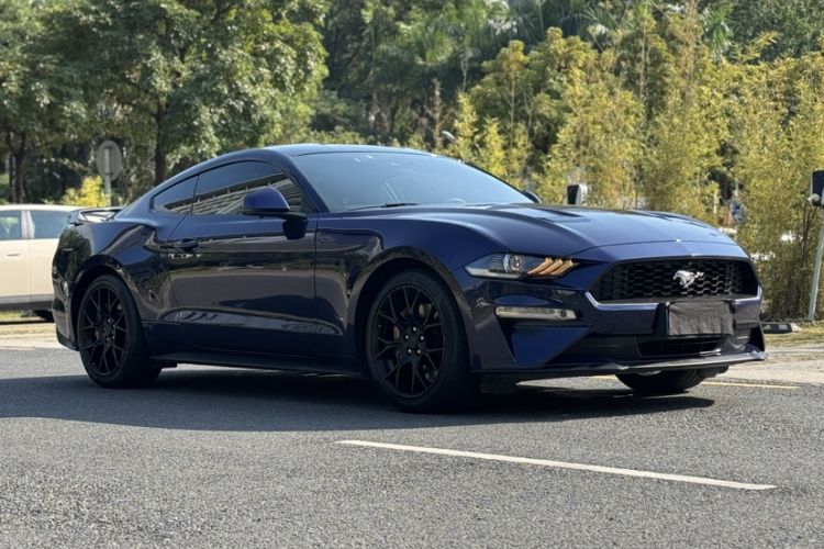 Used Ford Mustang 2019 2.3L EcoBoost Exterior 1