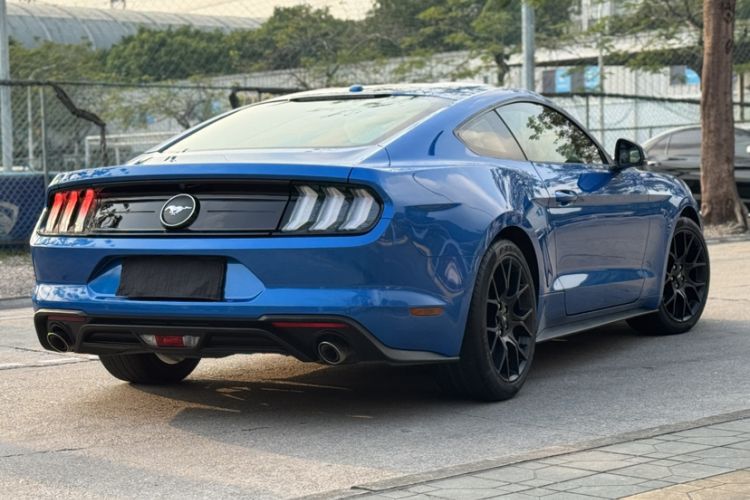 Used Ford Mustang 2019 2.3L EcoBoost Exterior 10