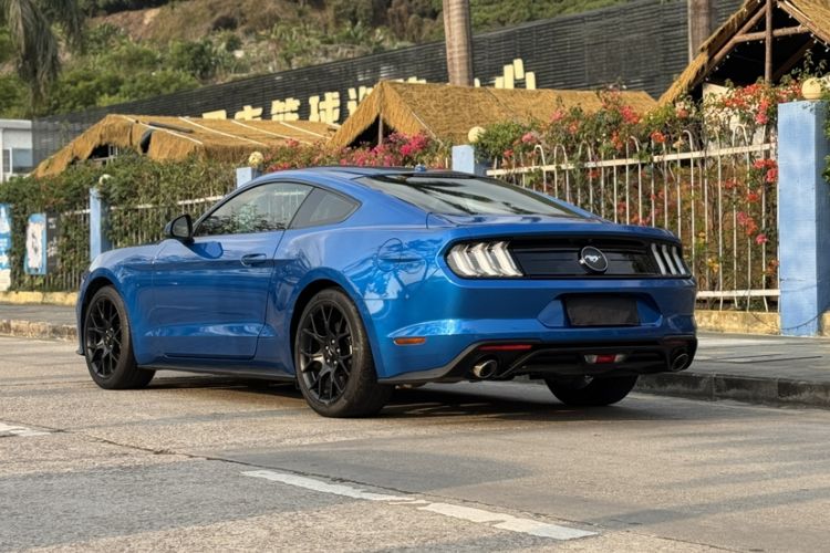 Used Ford Mustang 2019 2.3L EcoBoost Exterior 11