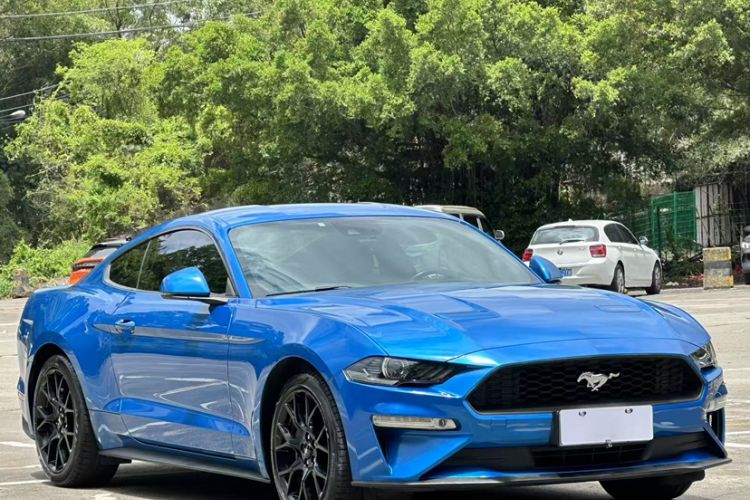 Used Ford Mustang 2019 2.3L EcoBoost Exterior 3