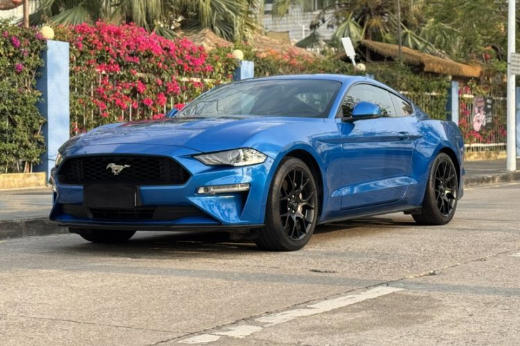 Used Ford Mustang 2019 2.3L EcoBoost Exterior 3