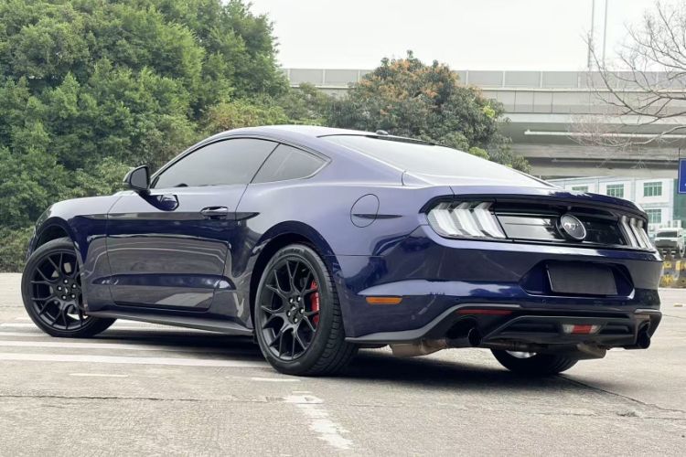 Used Ford Mustang 2019 2.3L EcoBoost Exterior 4