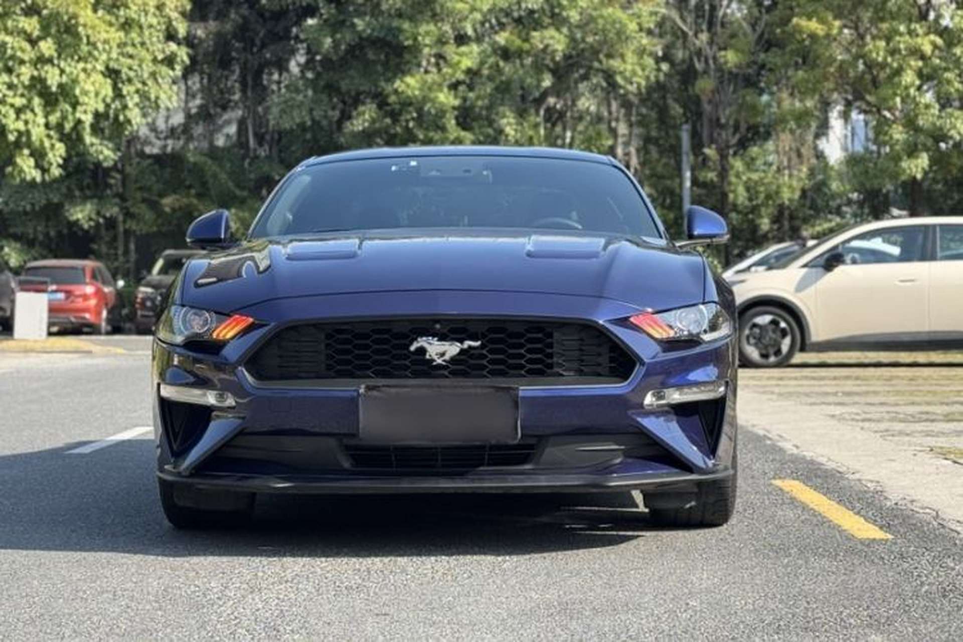 Used Ford Mustang 2019 2.3L EcoBoost Exterior 4