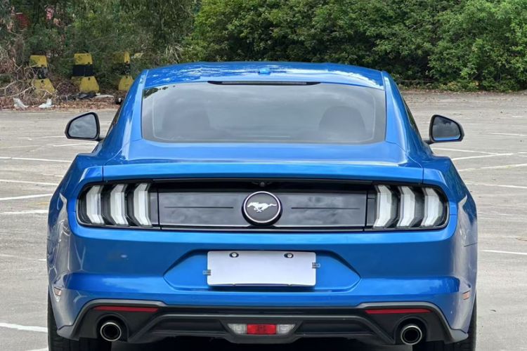 Used Ford Mustang 2019 2.3L EcoBoost Exterior 5