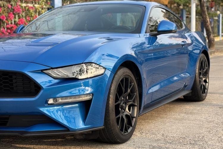 Used Ford Mustang 2019 2.3L EcoBoost Exterior 5