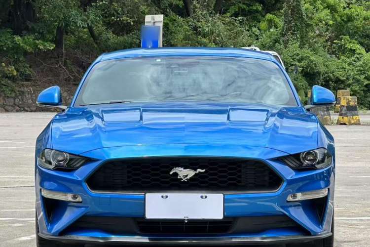 Used Ford Mustang 2019 2.3L EcoBoost Exterior 6