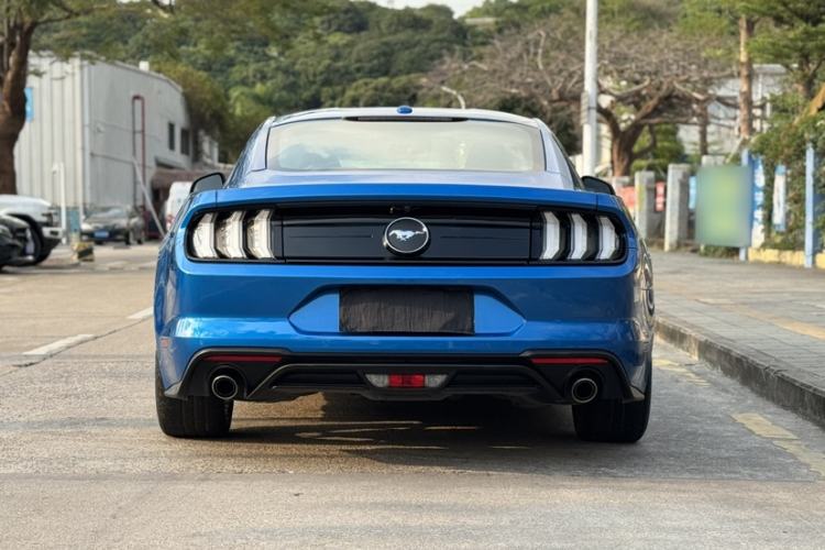 Used Ford Mustang 2019 2.3L EcoBoost Exterior 6