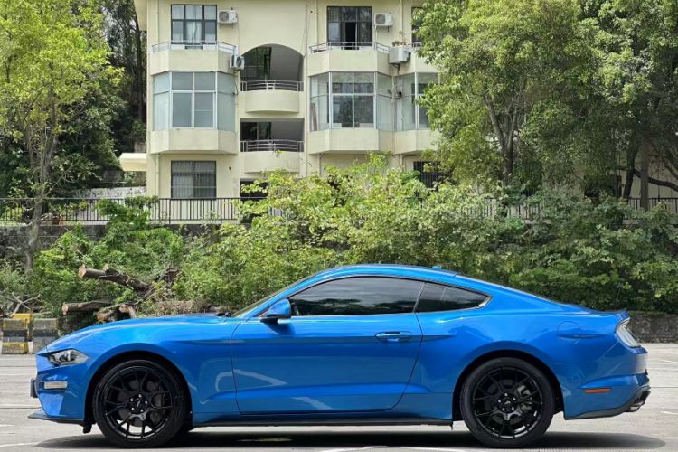 Used Ford Mustang 2019 2.3L EcoBoost Exterior 7