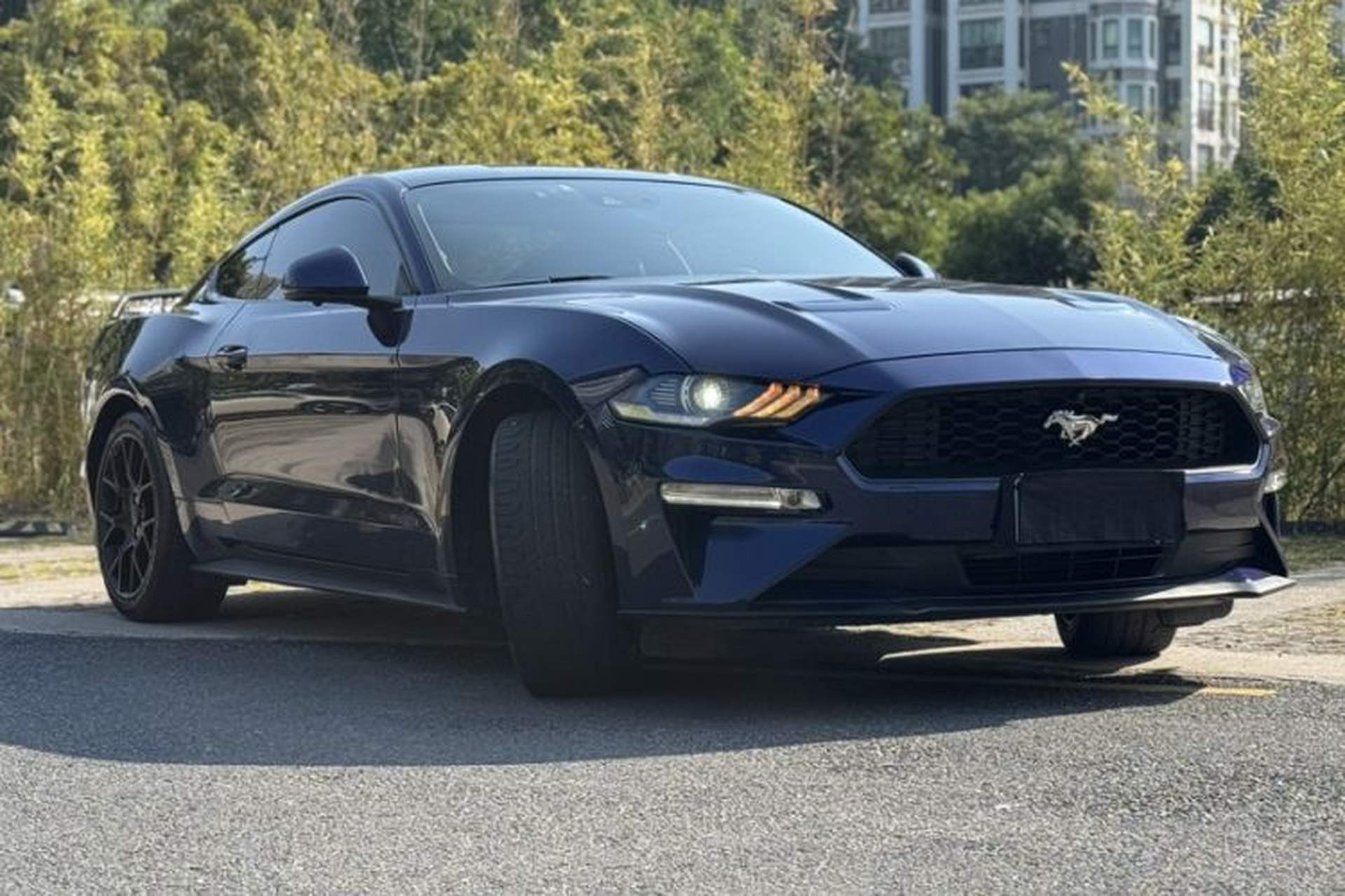 Used Ford Mustang 2019 2.3L EcoBoost Exterior 7