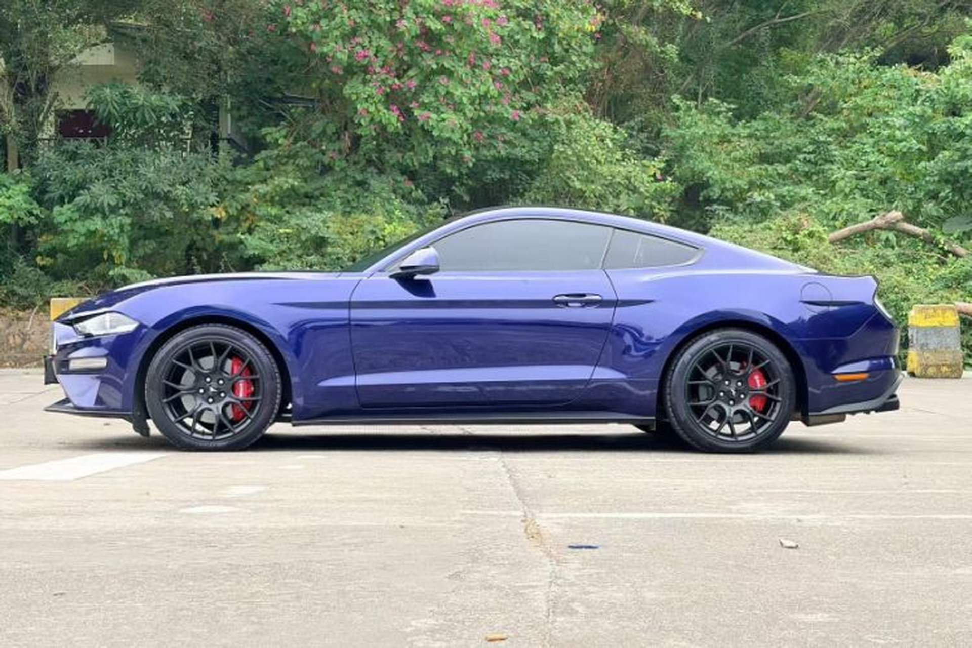 Used Ford Mustang 2019 2.3L EcoBoost Exterior 8
