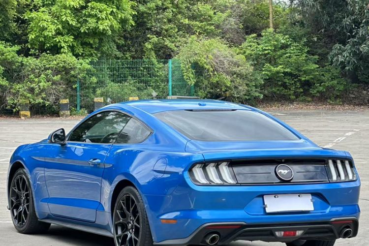 Used Ford Mustang 2019 2.3L EcoBoost Exterior 8