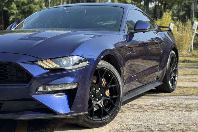 Used Ford Mustang 2019 2.3L EcoBoost Exterior 8