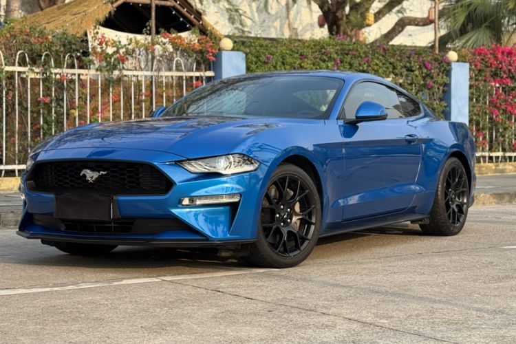 Used Ford Mustang 2019 2.3L EcoBoost Exterior 8