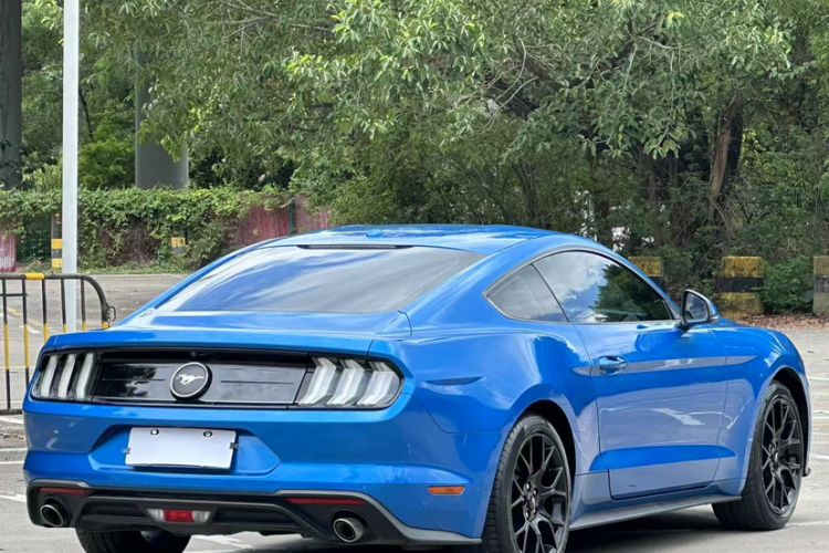Used Ford Mustang 2019 2.3L EcoBoost Exterior 9
