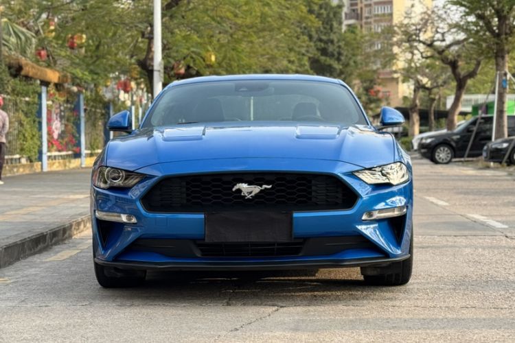 Used Ford Mustang 2019 2.3L EcoBoost Exterior 9