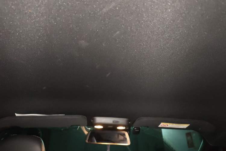 Used Ford Mustang 2019 2.3L EcoBoost Headliner
