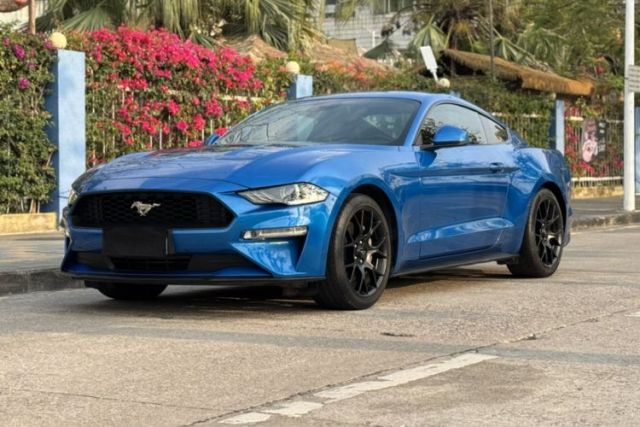 Used Ford Mustang 2019 2.3L EcoBoost