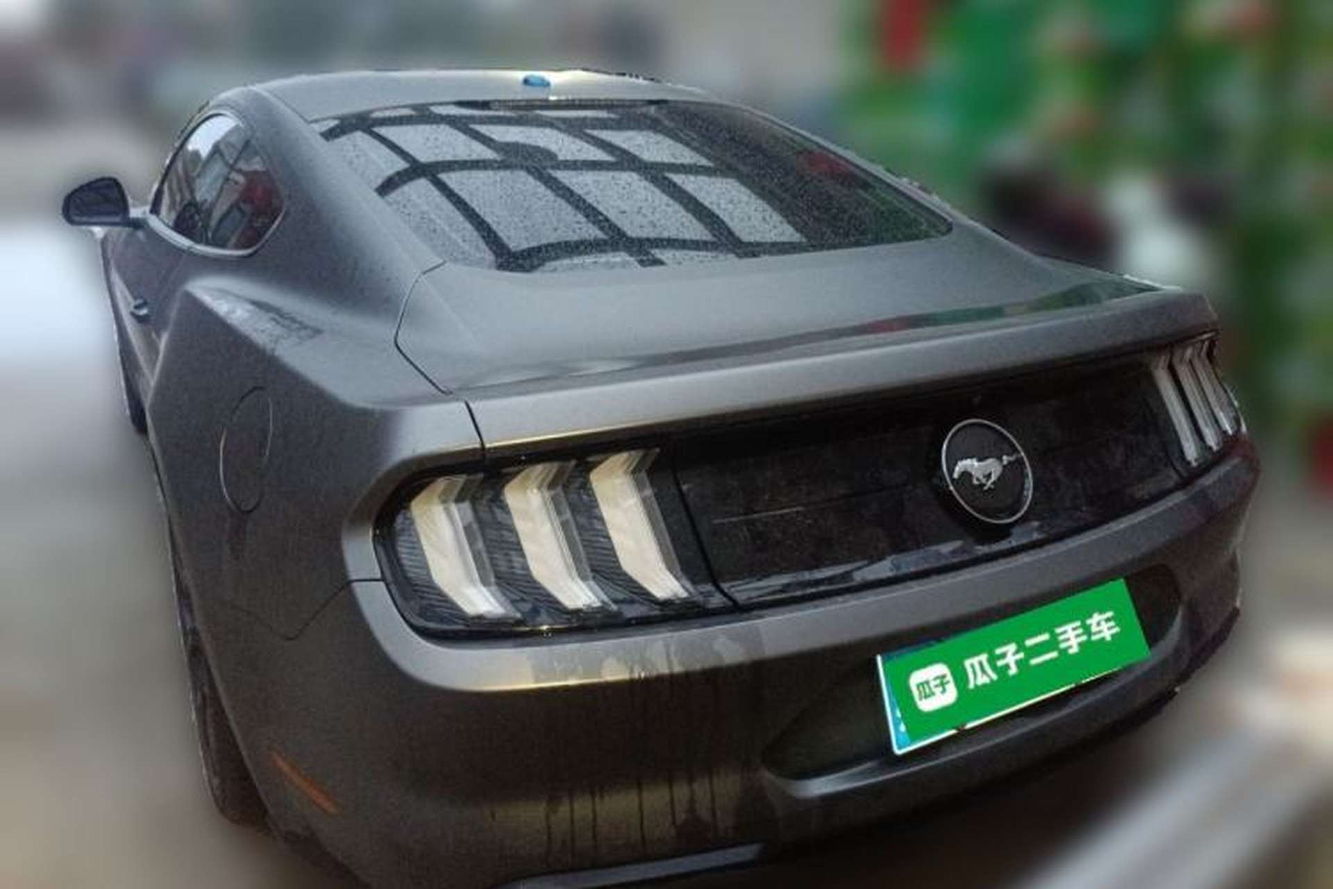 Used Ford Mustang 2019 2.3L EcoBoost Rear