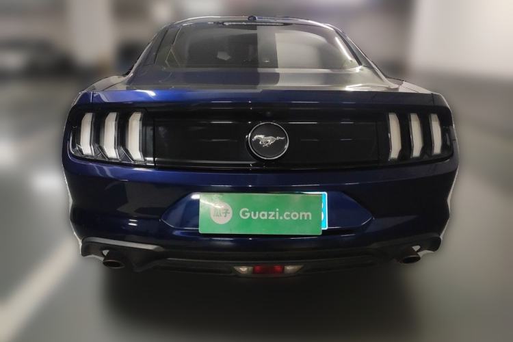 Used Ford Mustang 2019 2.3L EcoBoost Rear