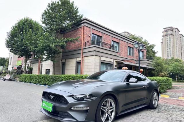 Used Ford Mustang 2019 2.3L EcoBoost Performance Enhanced Edition