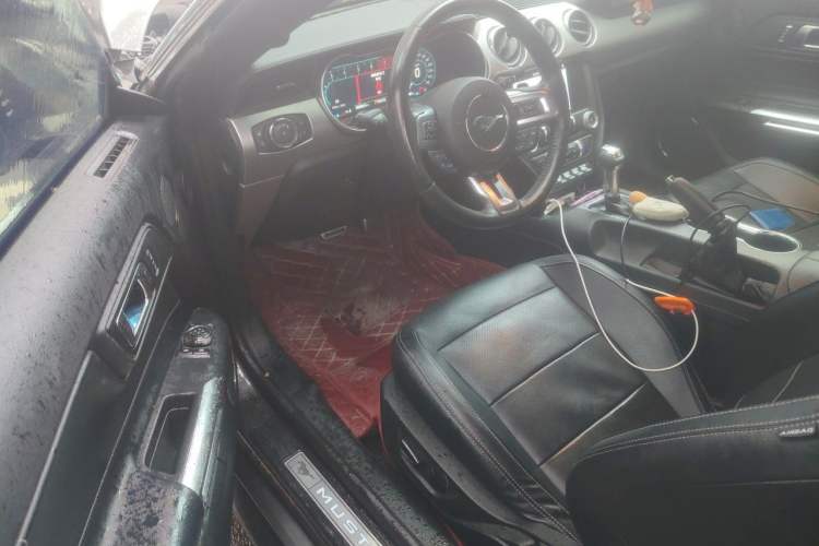 Used Ford Mustang 2019 2.3L EcoBoost Driver Seat
