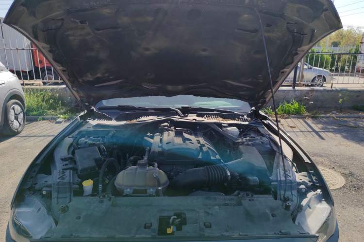 Used Ford Mustang 2019 2.3L EcoBoost Engine Bay