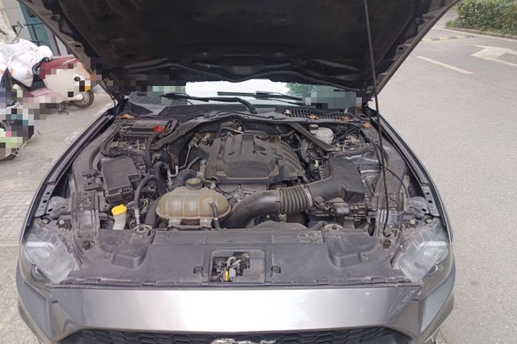 Used Ford Mustang 2019 2.3L EcoBoost Performance Enhanced Edition Engine Bay